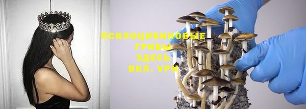 гидропоника Богородск