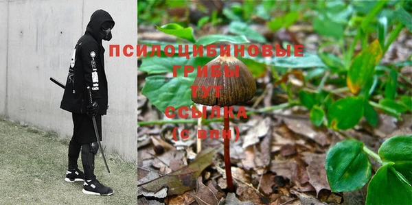 гидропоника Богородск