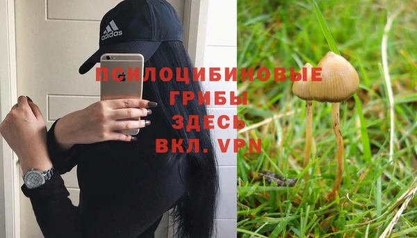 гидропоника Богородск