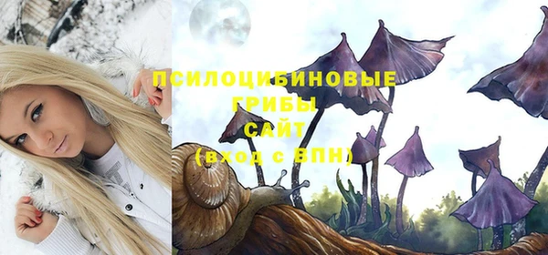 трава Богданович